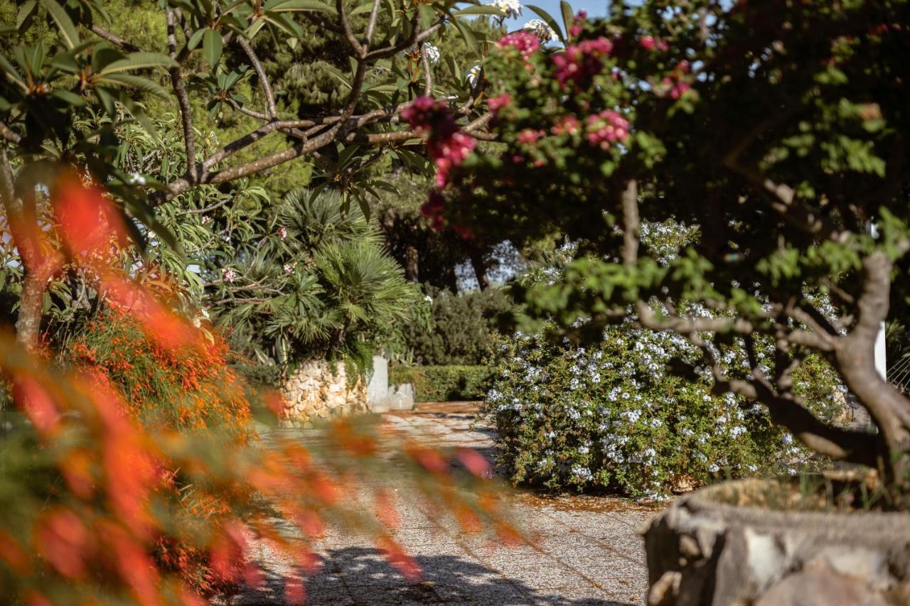 Ferienwohnung Giardino Dell'Impossibile Di Antonino Campo Favignana Exterior foto