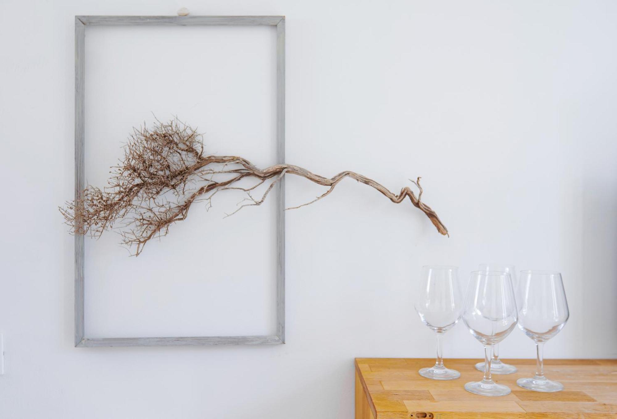 Ferienwohnung Giardino Dell'Impossibile Di Antonino Campo Favignana Exterior foto